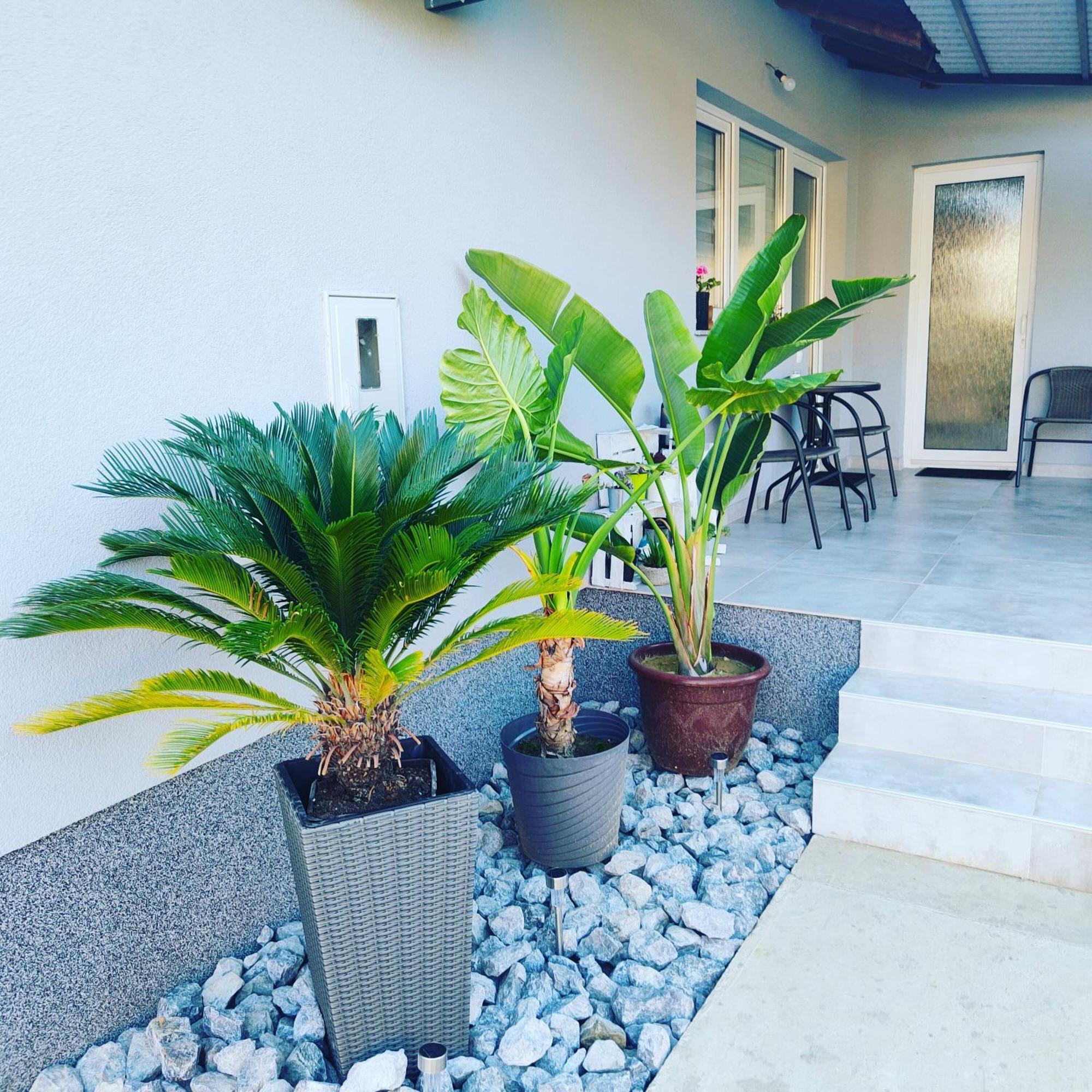Apartmani Sun & Moon Bjelovar Exterior photo